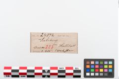 Etiketten zu Schleifstein (NHMW-PRAE-024372)